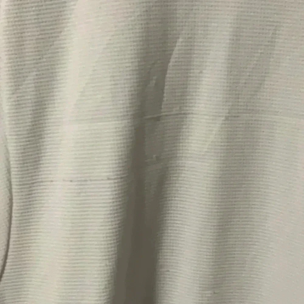 Champion worn good